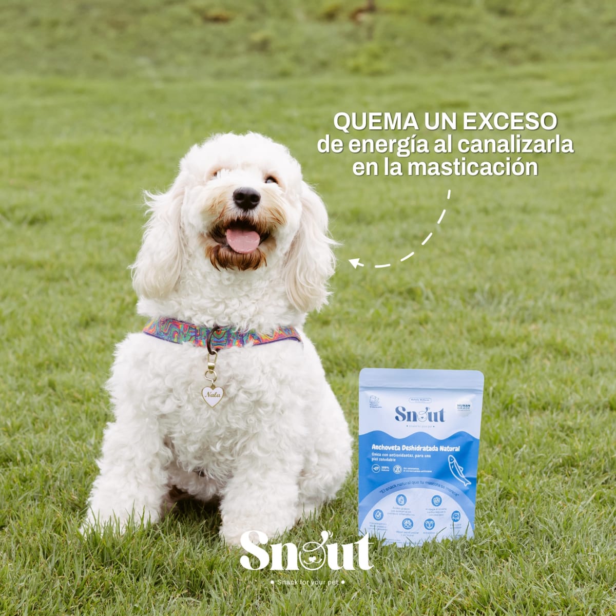 TREATS ANCHOVETA DESHIDRATADA NATURAL X 80 GR3