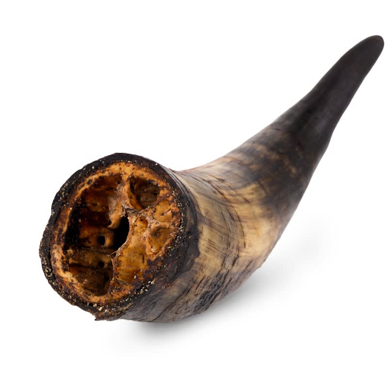 SNOUT CUERNO DE RES AHUMADO - SMALL2