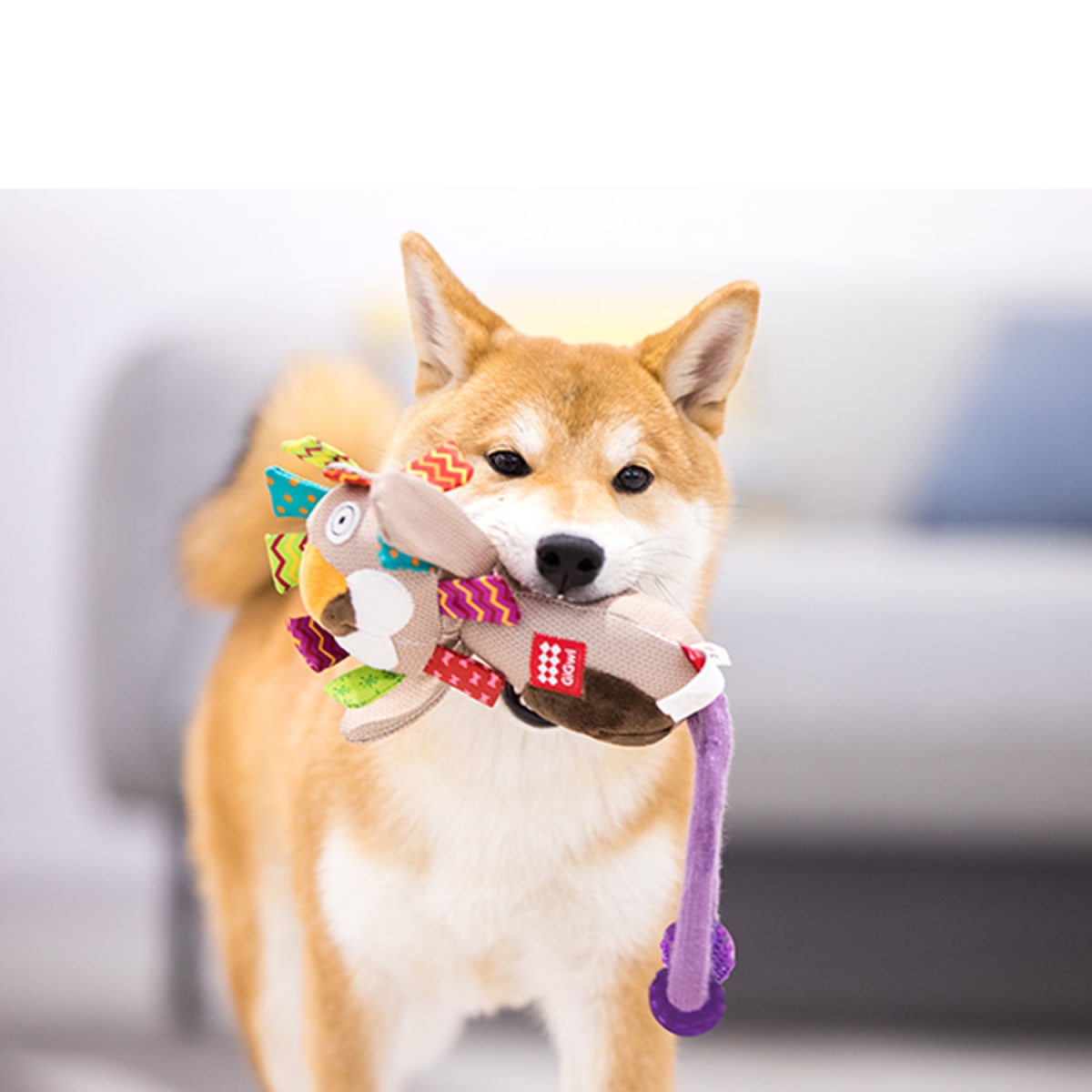 GIGWI Plush Friendz / Johnny Stick Leon3