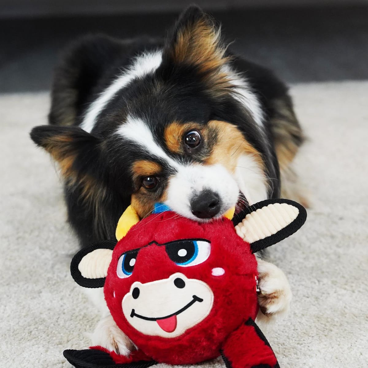 GIGWI JUMBALL PLUSH TORO ROJO - PELOTA CON COBERTURA DE PELUCHE CON TEXTURAS3