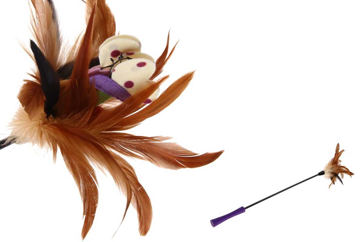 GIGWI Feather Teaser - Varilla Pluma y Mariposa Morada1