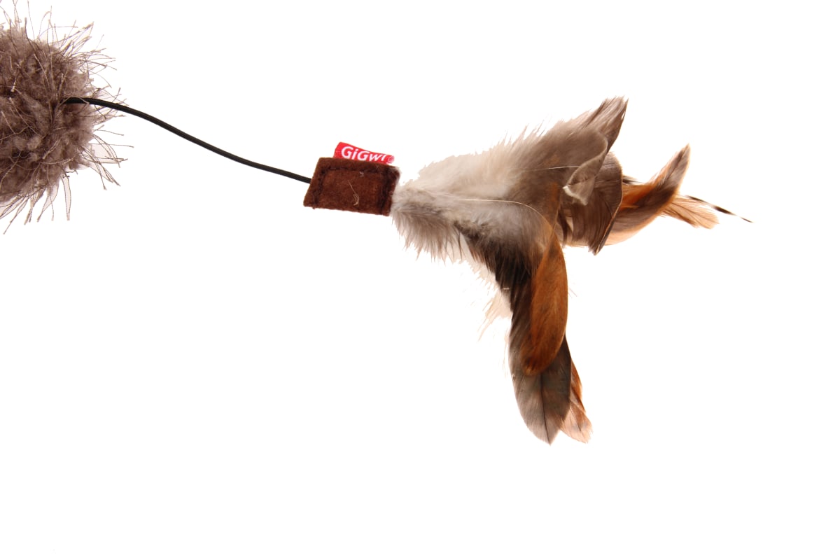 GIGWI Feather Teaser - Varilla Pluma y sonaja5