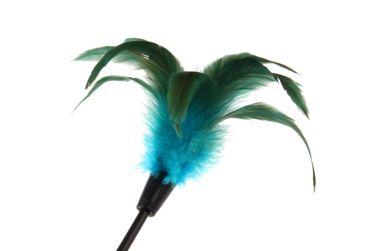 GIGWI Feather Teaser - Varilla Pluma Azul5