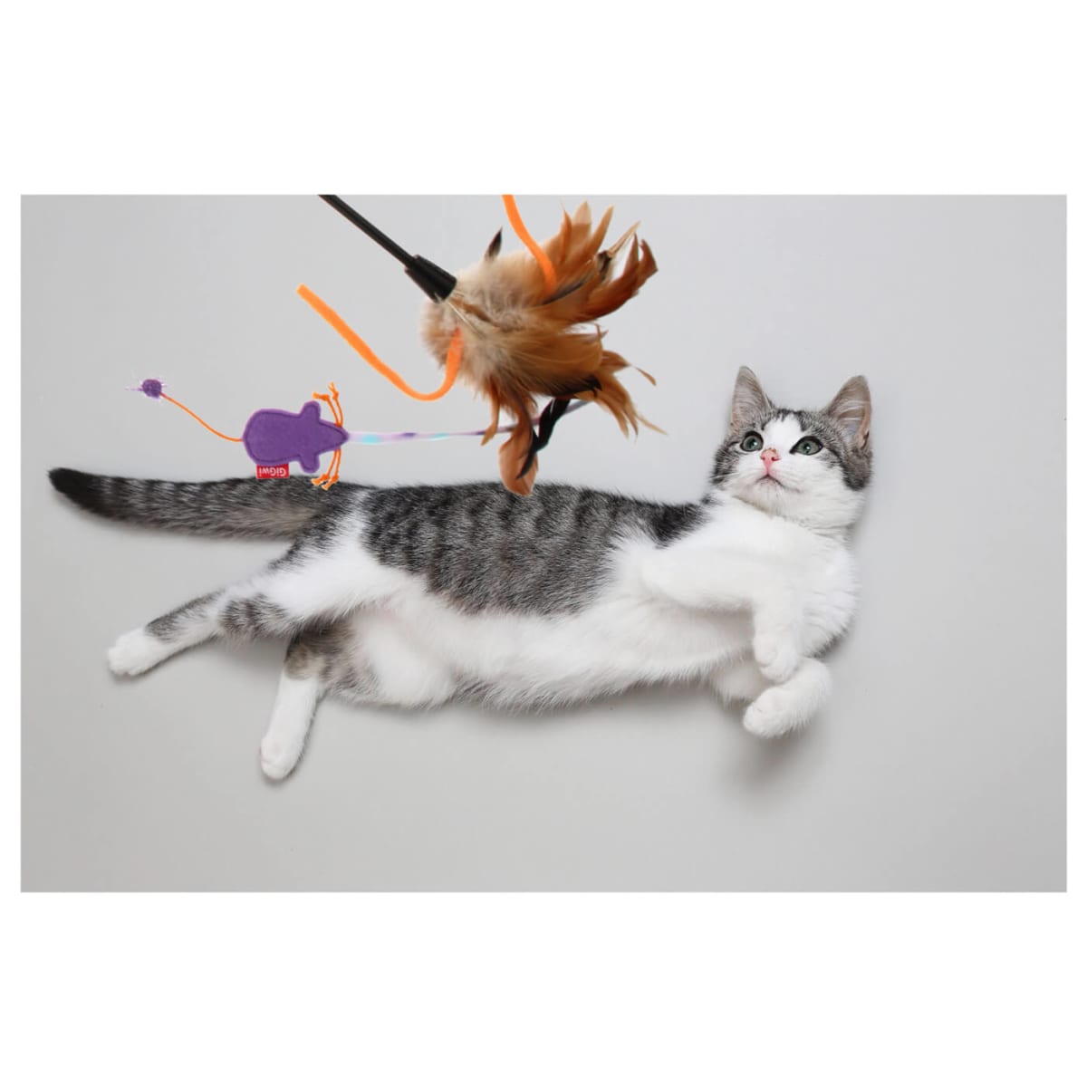 GIGWI Feather Teaser - Varilla Pluma de Ratón3