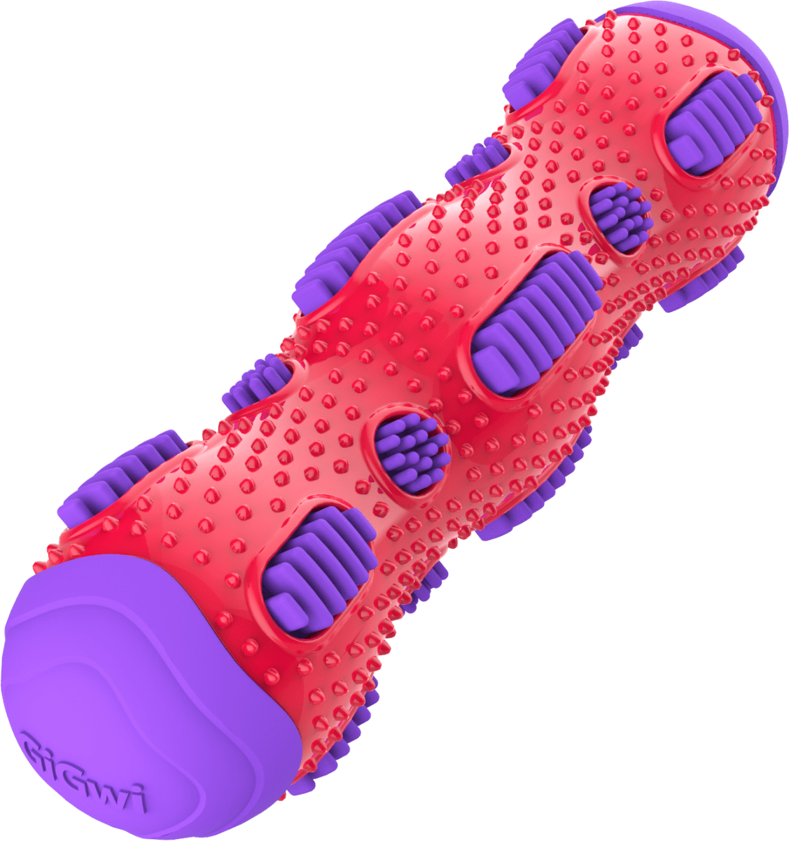 GIGWI TOOTHBRUSH STICK4