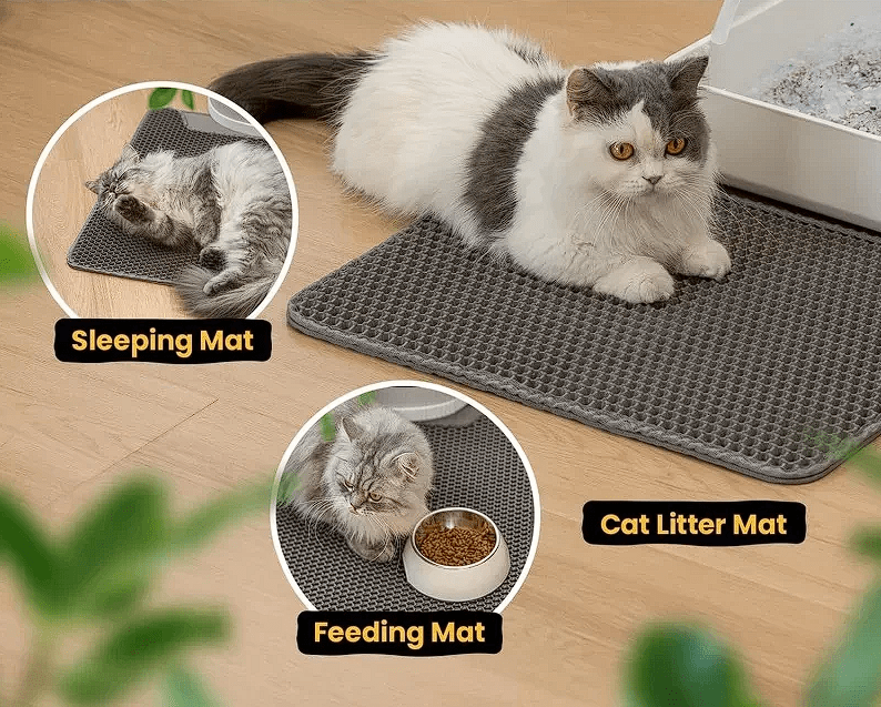 Pet Show - Alfombra para Arenero de Gato (40cm x 50cm)4