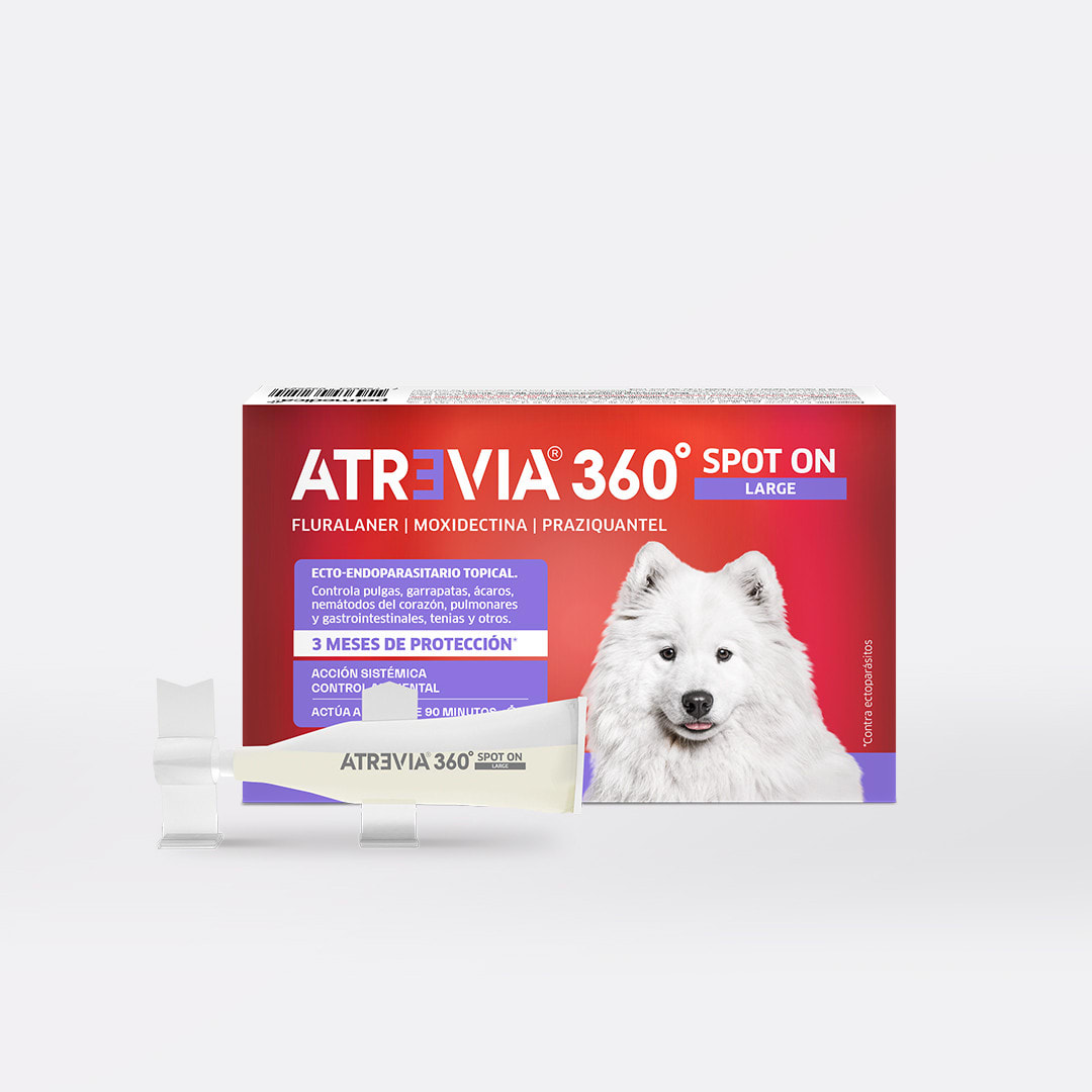Atrevia® 360º Spot On Large (18 - 37 kg)1