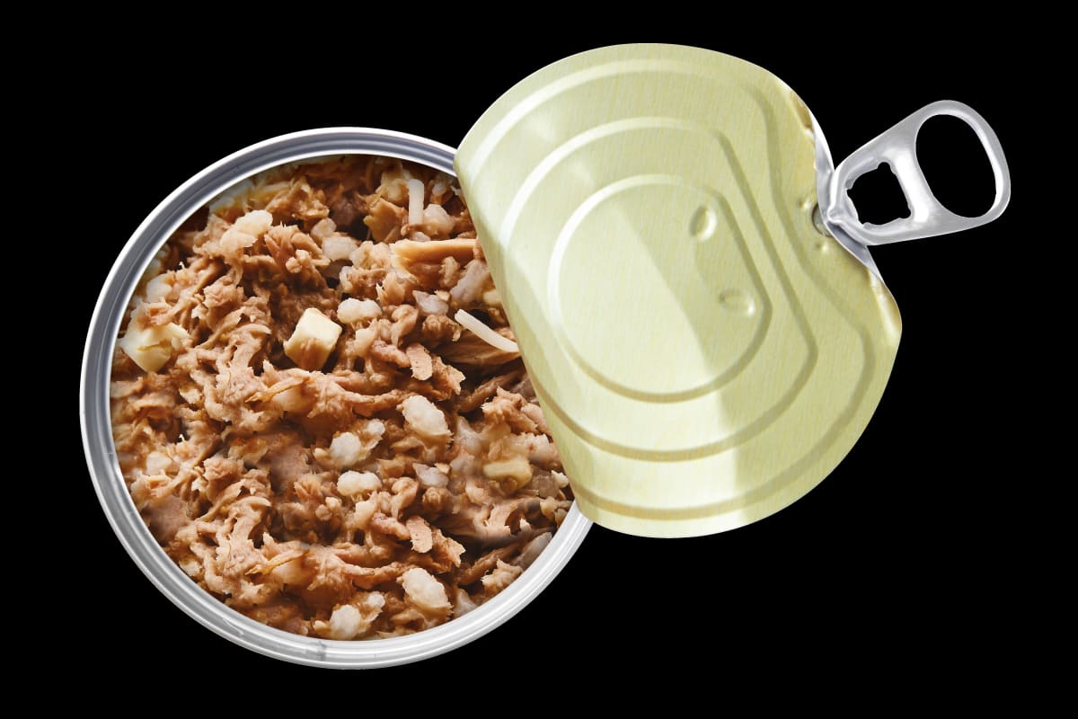 Applaws Filete de Atún con Queso - 70gr2