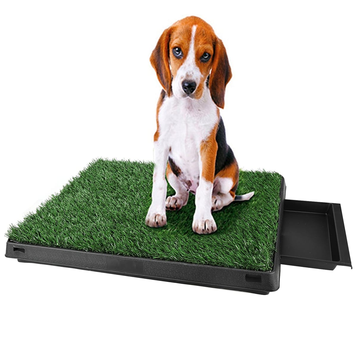 Baño de Grass Sintético Grande (63.5cm x 50.8cm x 6.4cm)2