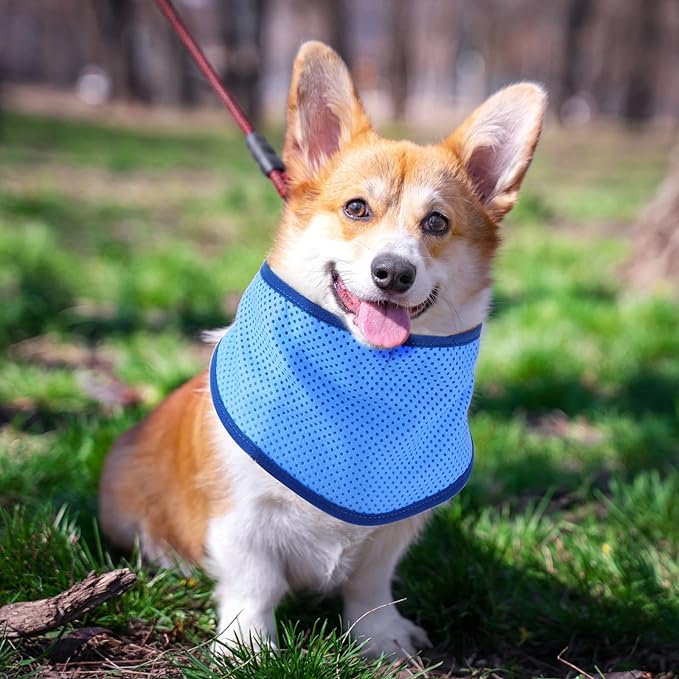 Bandana Refrigerante - Pet Cooling Scarf (Large Celeste)5