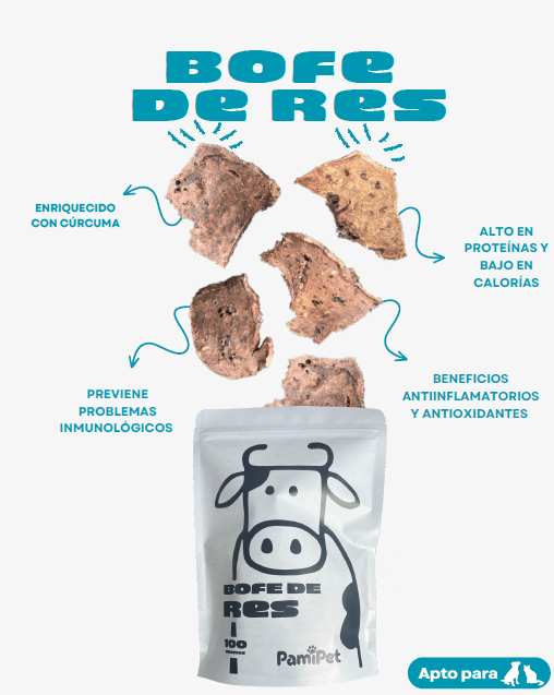 Snack Pamipet Bofe de Res (100gr)2