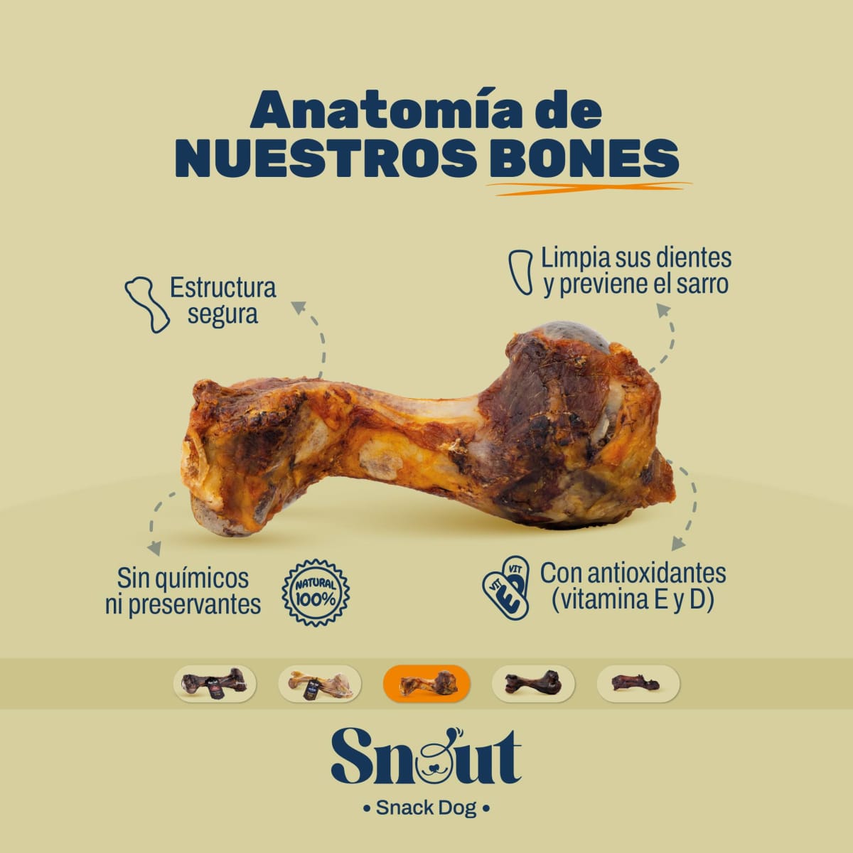 Minibones Natural PIG´S Humerus2