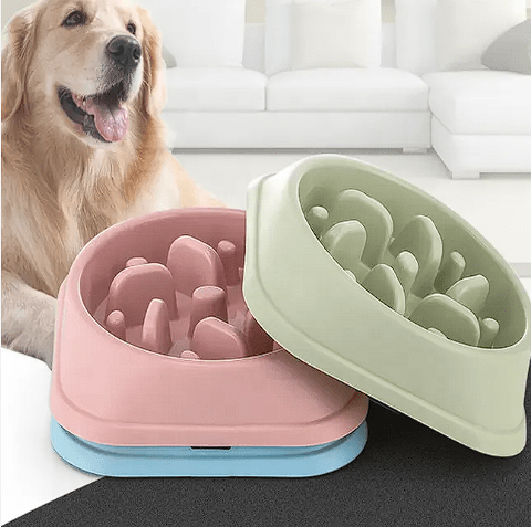 Plato alimentador lento antideslizante (Celeste)4