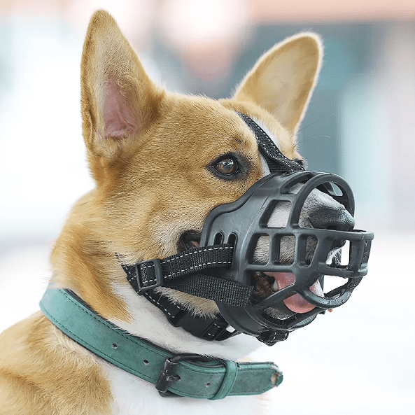 Bozal de Silicona para Perros2