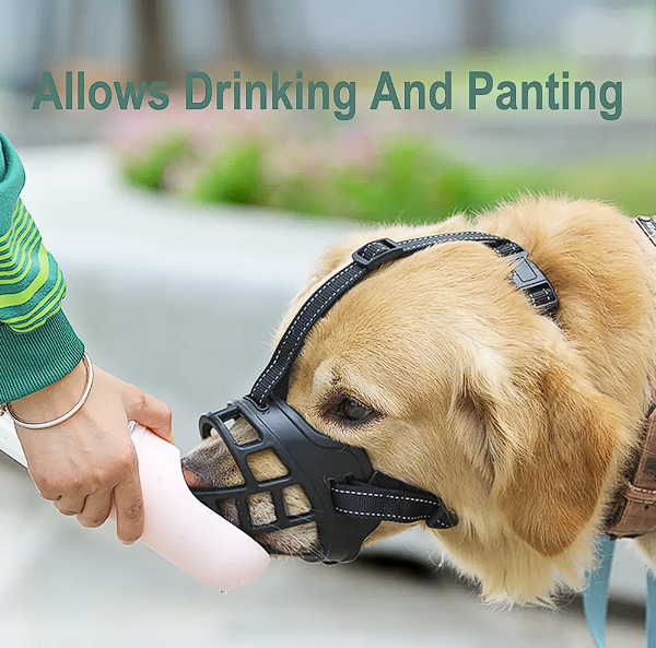 Bozal de Silicona para Perros4