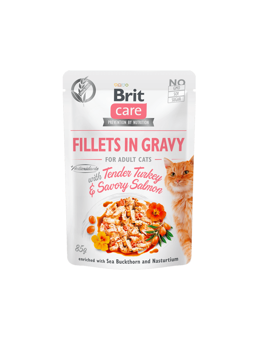 BRIT CARE CAT POUCH TENDER TURKEY & SAVORY SALMÓN 85GR - ALIMENTO PARA GATOS1