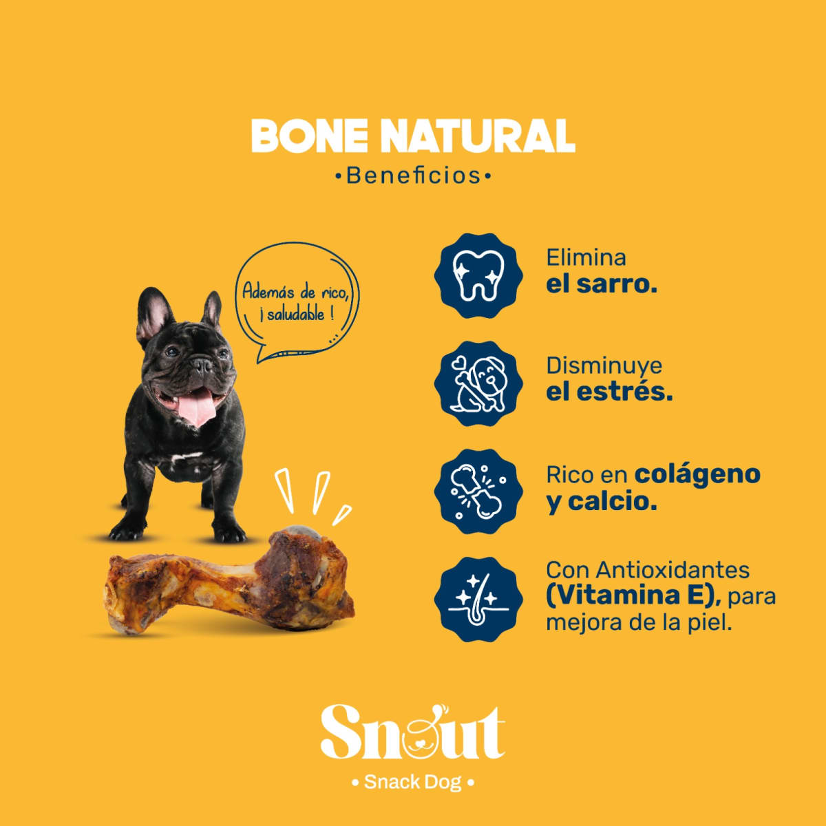 Minibones Ahumado PIG´S Humerus2