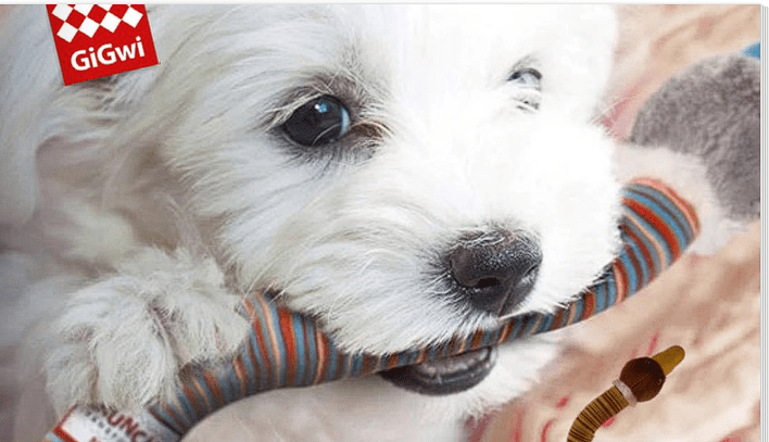 Gigwi Crunchy Neck Pato2