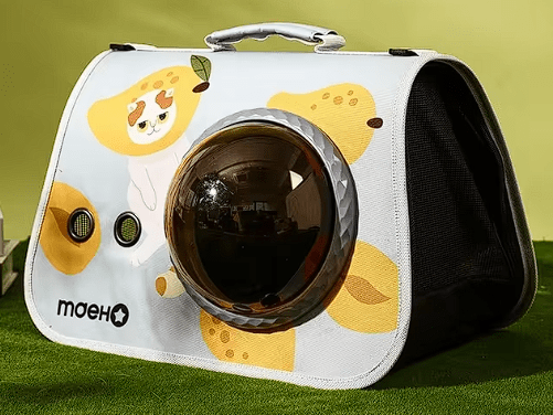 Transportador con Ventana - Celeste1