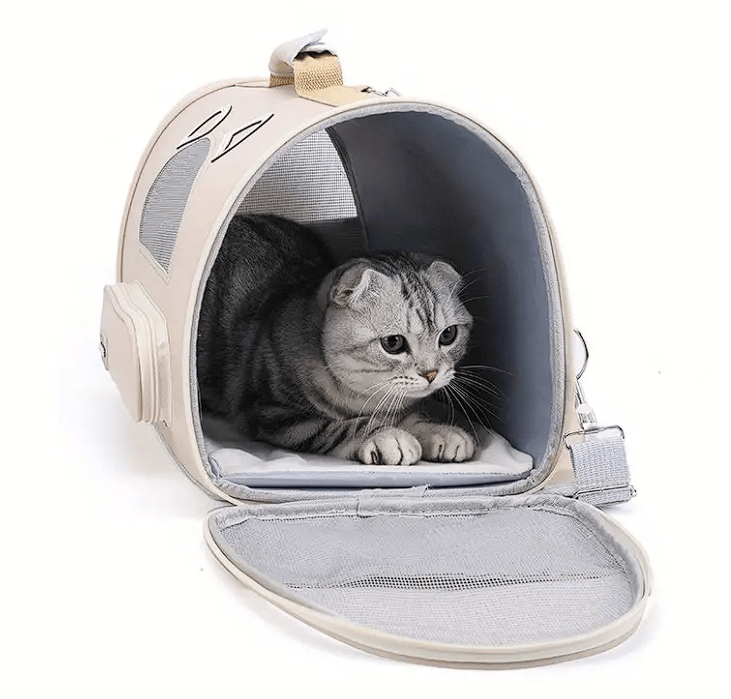 Transportador para Mascota - Celeste4