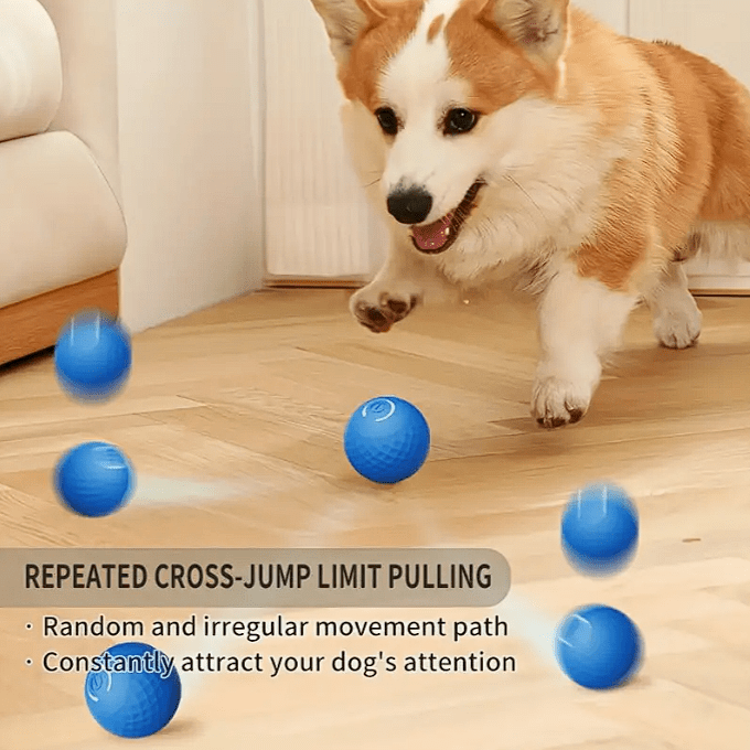 Pet Show Juguete - Pelota Rodante automática1