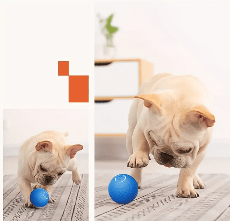 Pet Show Juguete - Pelota Rodante automática6