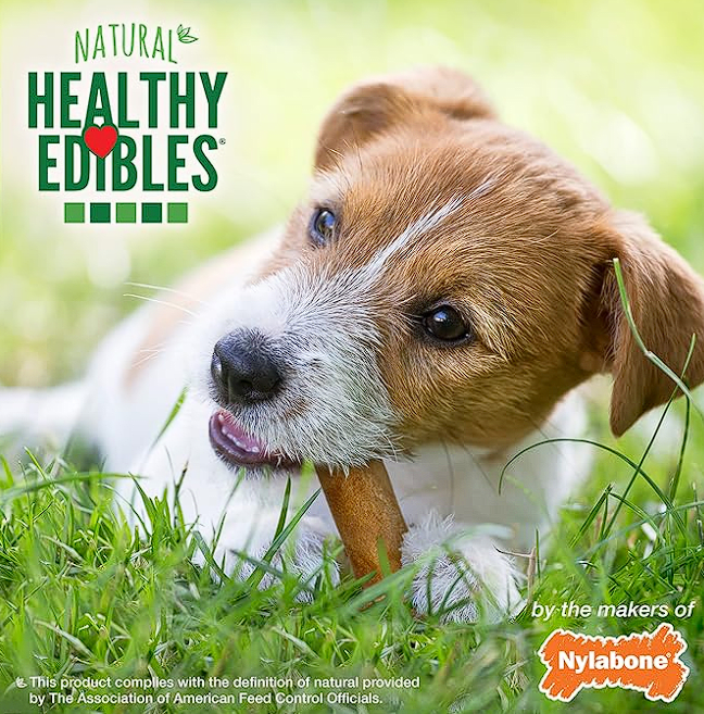 NYLABONE HEALTHY EDIBLES  LONGER LASTING BACON2