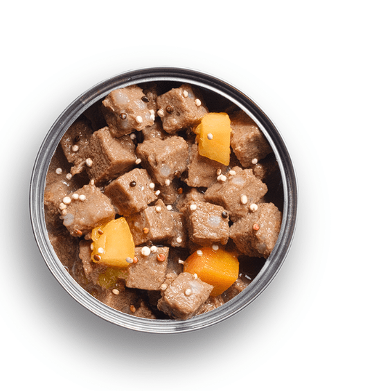 Origens Perro Cachorro - Trozos de Pollo  170gr2