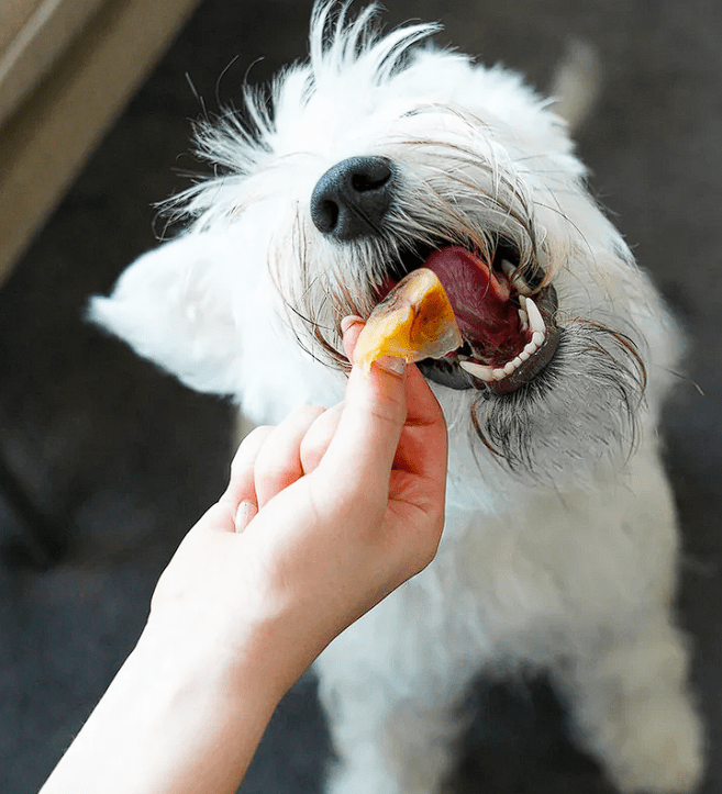 Barker Snack Casquitos de cerdo  - 30 unid2