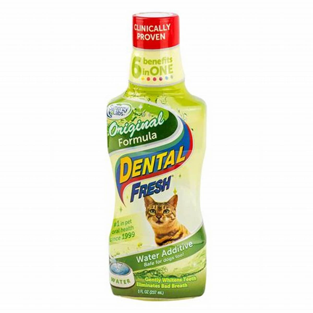 Dental Fresh CAT Original 237 ml1