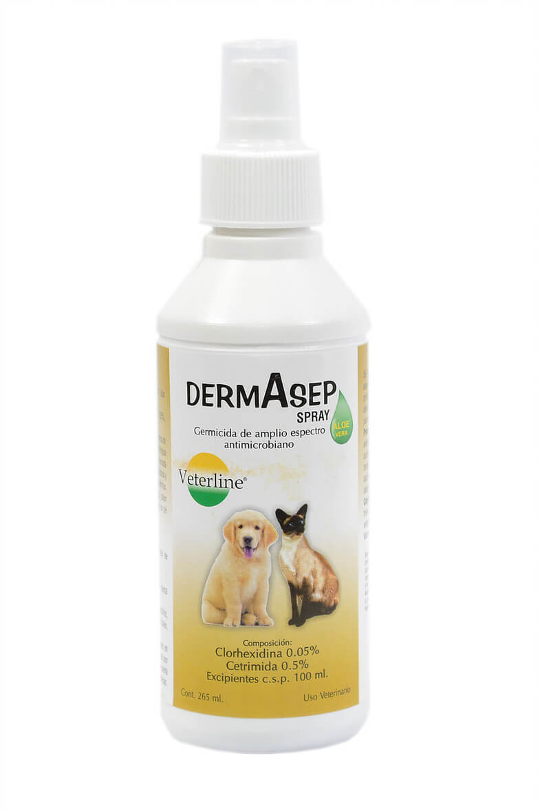 Dermasep Spray 265ml1
