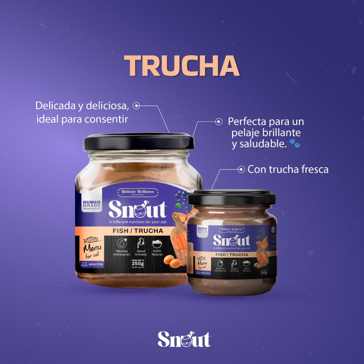 Snout - Menú for Cat Trucha 160gr2