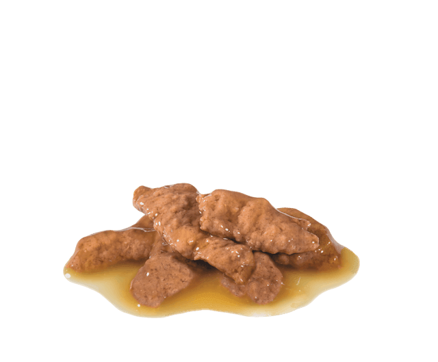 ROYAL CANIN FHN INDOOR STERILISED IN GRAVY 85gr2