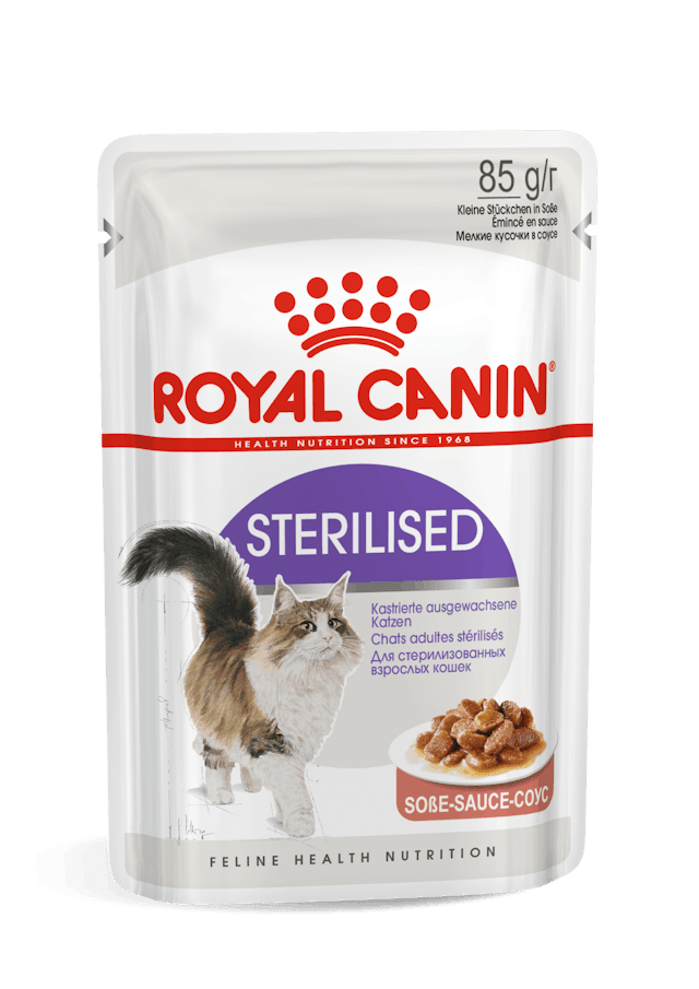 ROYAL CANIN FHN STERILISED POUCH IN GRAVY 85gr1