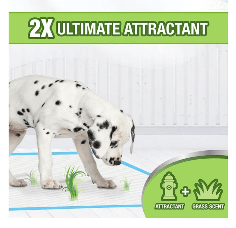 Wee Wee Paños de entrenamiento con esencia de Grass - 10und3