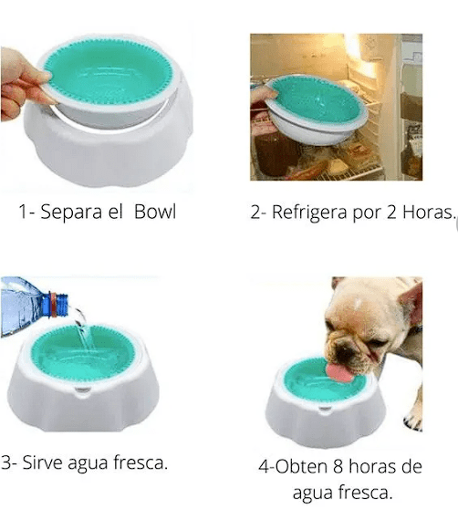 Frosty Bowl - Plato de agua con Gel refrigerante3