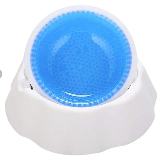 Frosty Bowl - Plato de agua con Gel refrigerante2