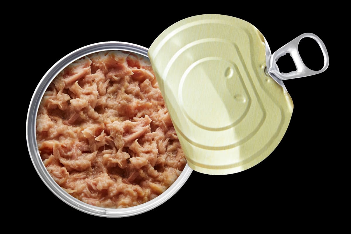 Applaws gatitos filete de atún 70gr2