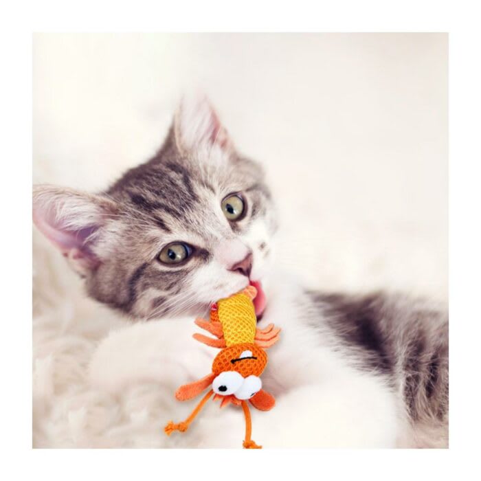 GIGWI DENTAL MESH ORANGE SHRIMP CATNIP4