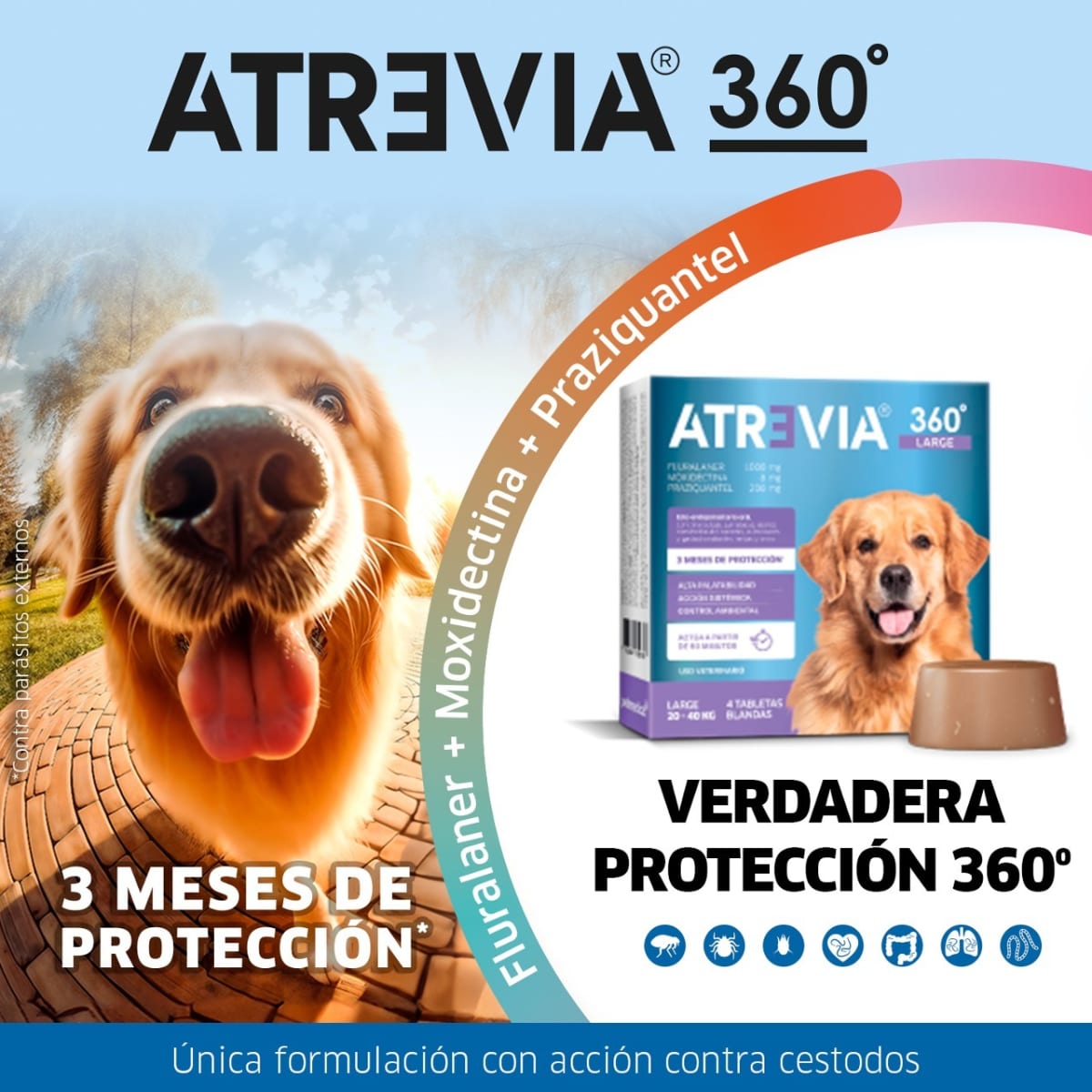 Atrevia 360° Antipulgas - LARGE (20kg a 40kg)2