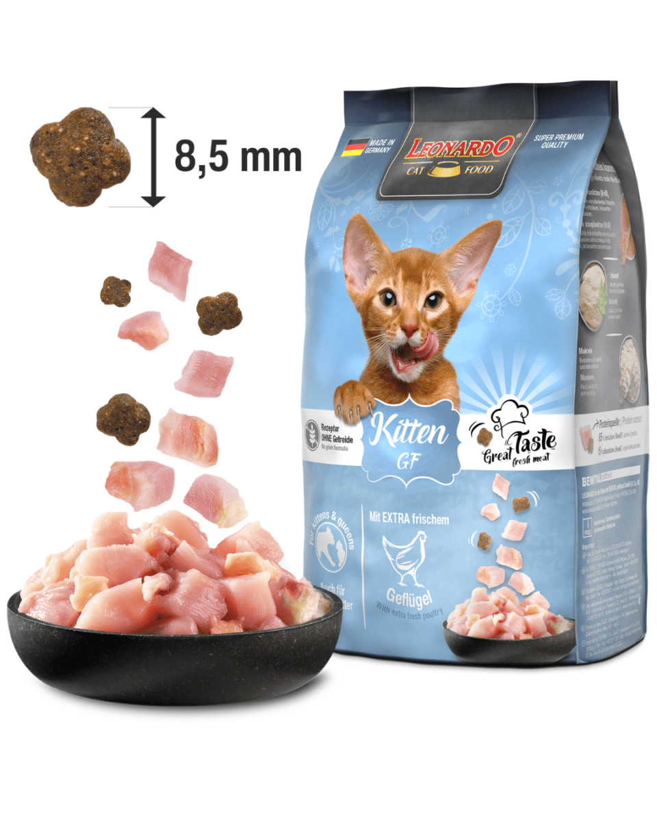 Leonardo Kitten GF 1.8kg2
