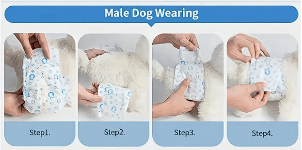 Pañales para perro (Macho) Universal Pet Diapers (12 unid) - Large2