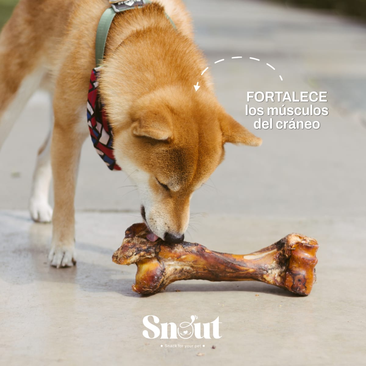 Snack Maxibone Natural2