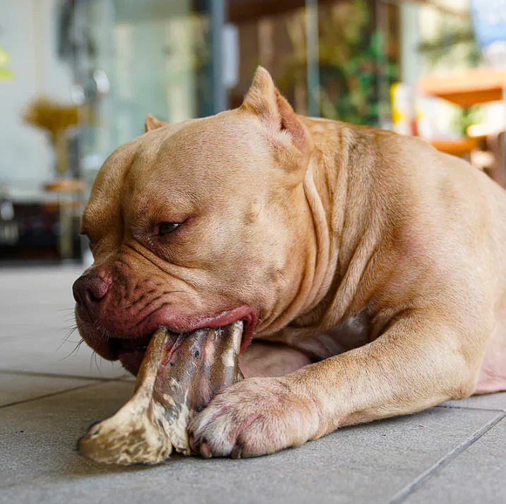 Barker Long Lasting Snacks - Orejas de Res (3 unidades)2