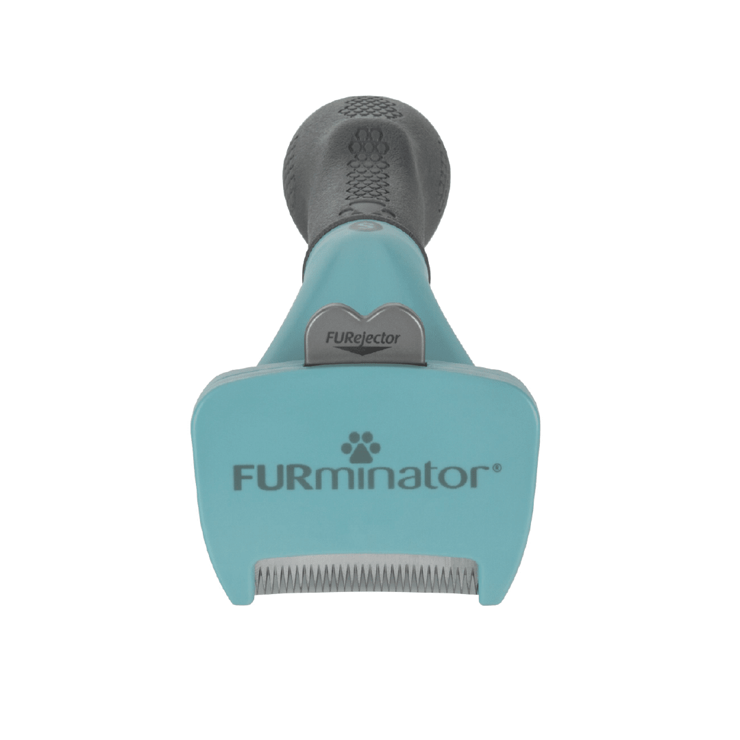 FURMINATOR UNDERCOAT SMALL CAT SHORT HAIR3