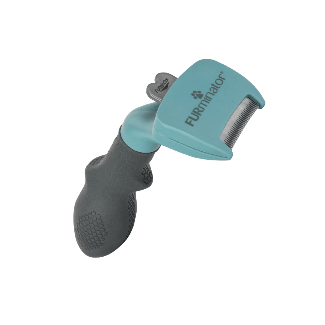 FURMINATOR UNDERCOAT SMALL CAT SHORT HAIR4