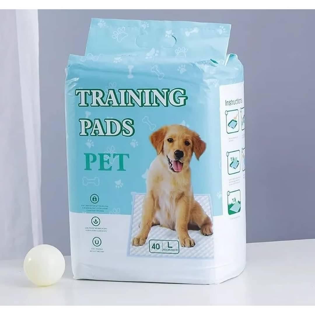 Training Pads - Pañales de piso Large (60x60) - 40unid1