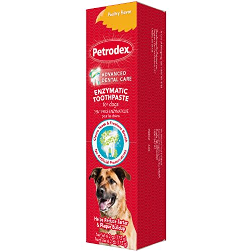 SENTRY PETRODEX PASTA DE DIENTES ENZIMATICA PARA PERROS - Poultry Flavor (175gr)1