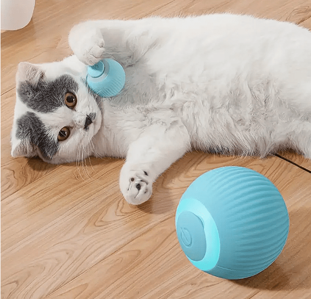 Bola rodante automática para gato (celeste)1