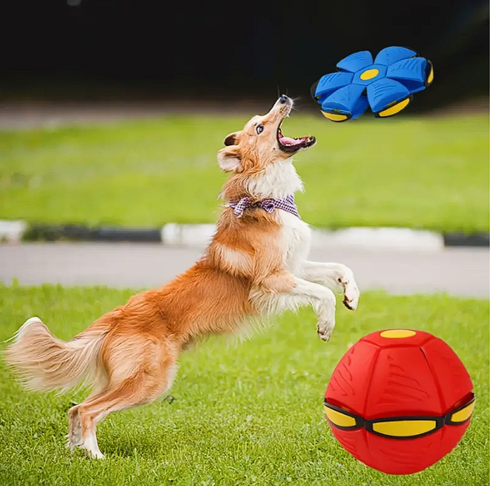 Pelota elástica para perro - Rojo1